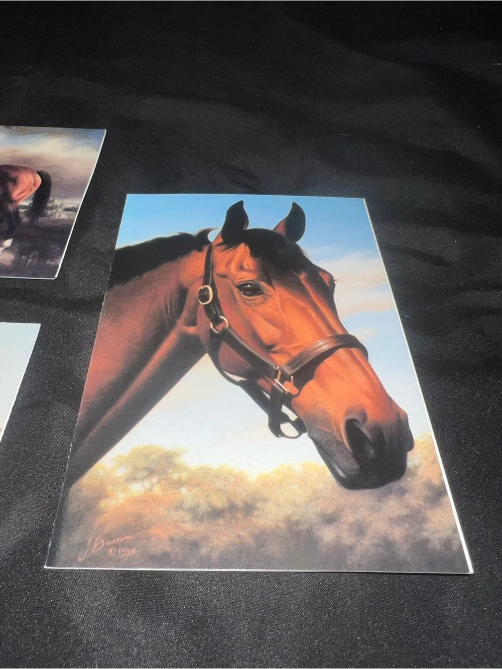 Equestrian Greeting Card Bundle